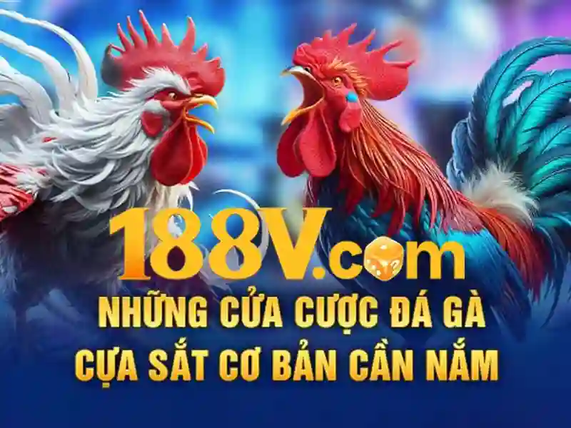 Nguồn gốc và sứ mệnh của 188v mê
