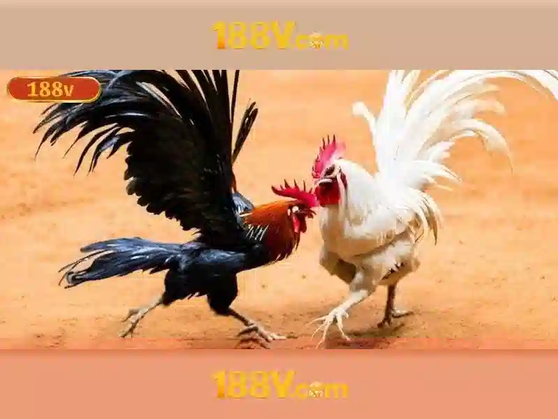 Kiến trúc và công nghệ của 188v