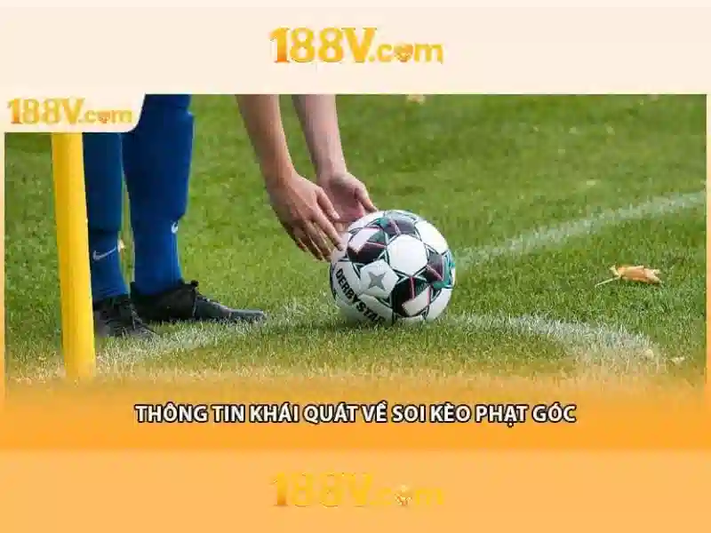 Kiến trúc số và kết nối dữ liệu
