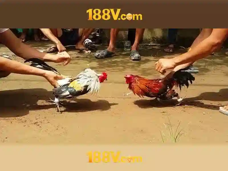 Tổng quan 188v vip – Giá trị và ý nghĩa