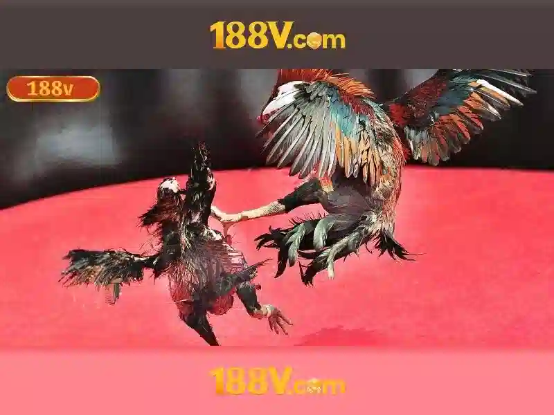 Endrick Rời Real Madrid – Câu Chuyện Phía Sau Quyết Định