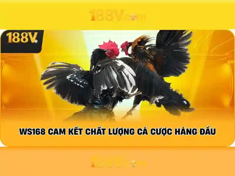 188v: một khía cạnh của văn hóa số và thiết kế