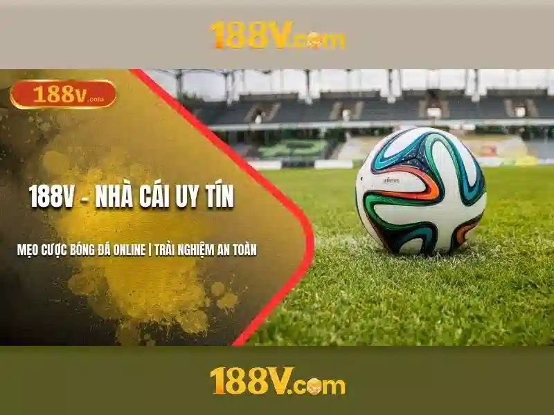 188v chính thức: Hành trình và Trải nghiệm