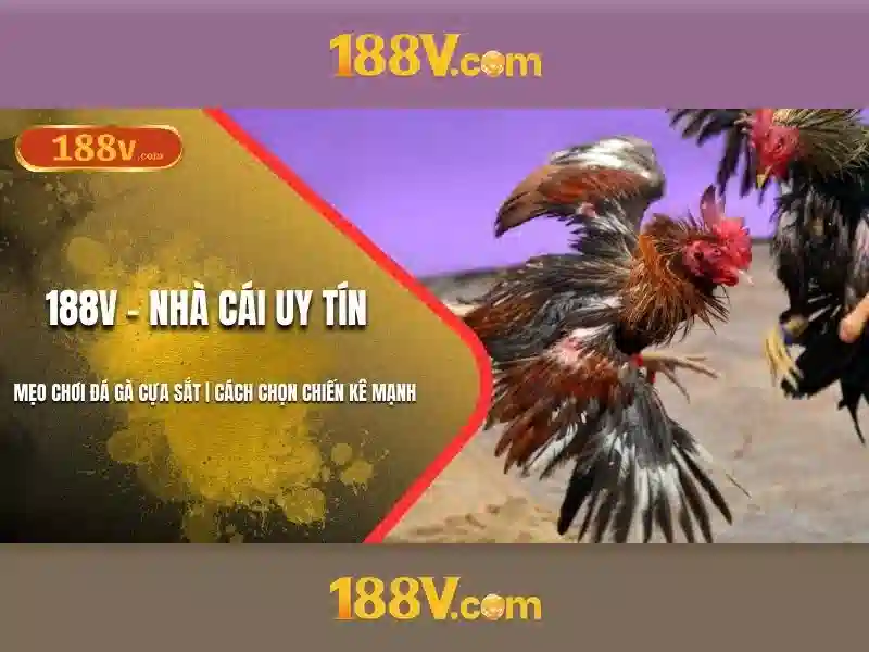 Khái niệm 188V