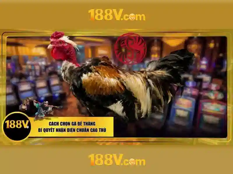 Ứng dụng và nguy cơ