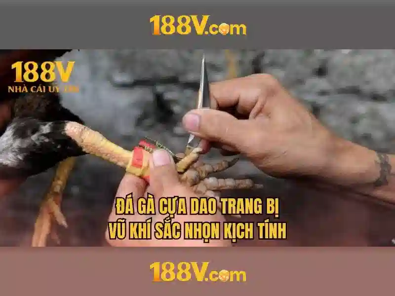 bắn cá 188v – nguồn gốc và sứ mệnh