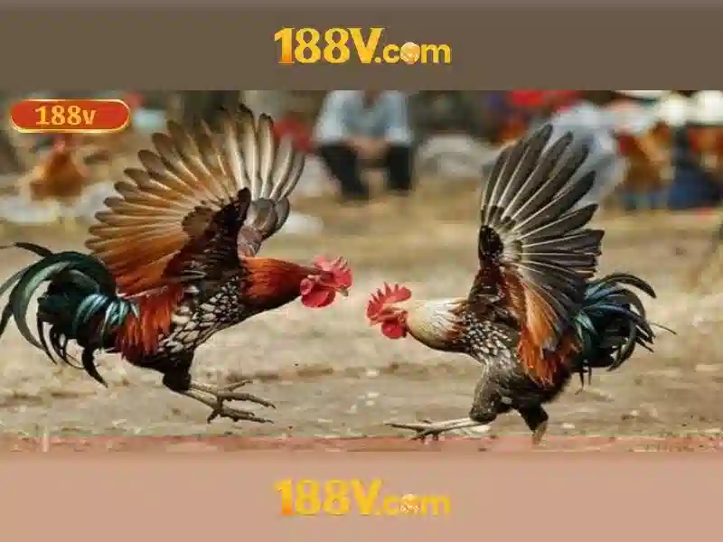3 ý nghĩa mà 188v mang lại cho người sáng tạo