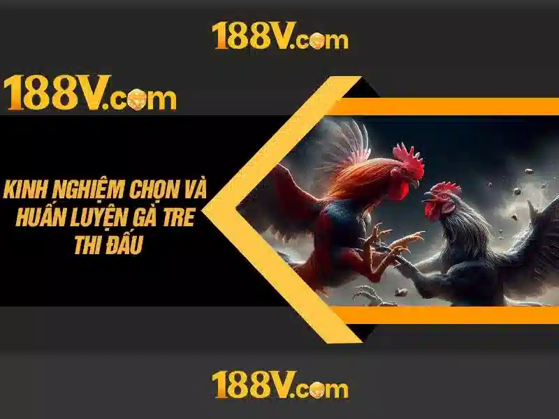 188v vip – Tổng quan chủ đề và giá trị cốt lõi<h2><b>Nguồn gốc và sứ mệnh của 188v vip</b></h2>
