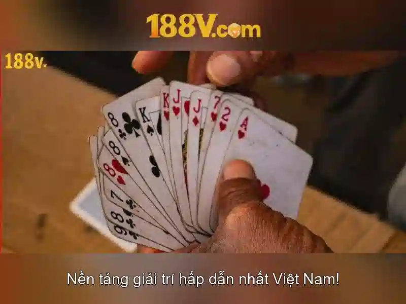 Phản hồi người dùng và cộng đồng