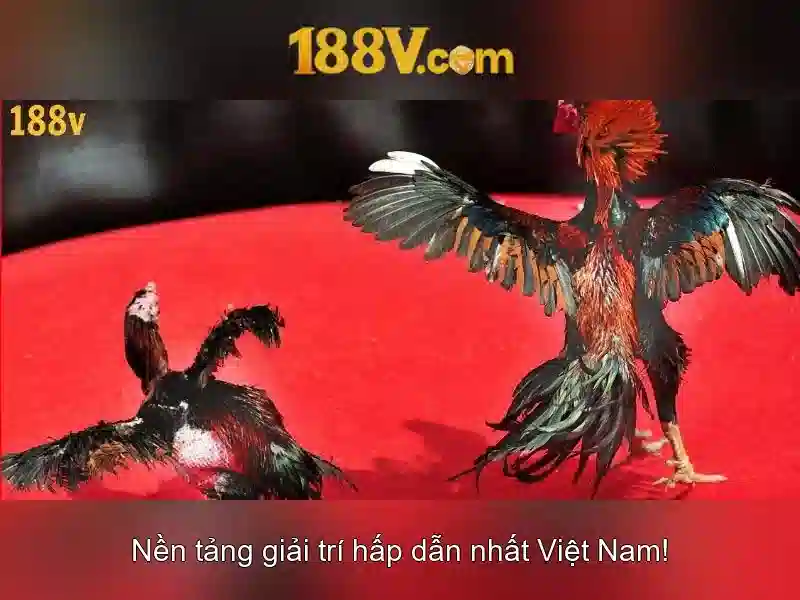 188v và ý nghĩa của nó\n<h3><b>Ứng dụng thực tế của 188v</b></h3>\n<p><span style=