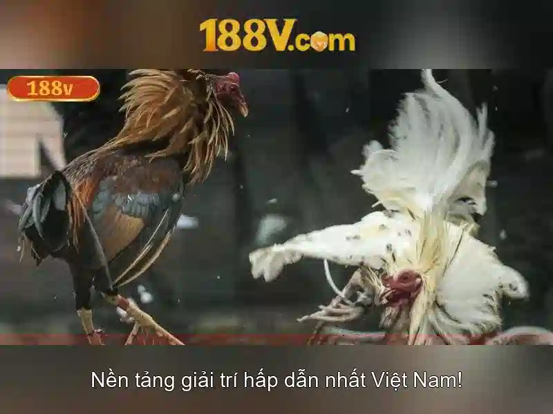 Tuong lai cua 188v