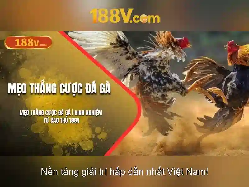 188v: một khái niệm giữa vật lý và nghệ thuật
