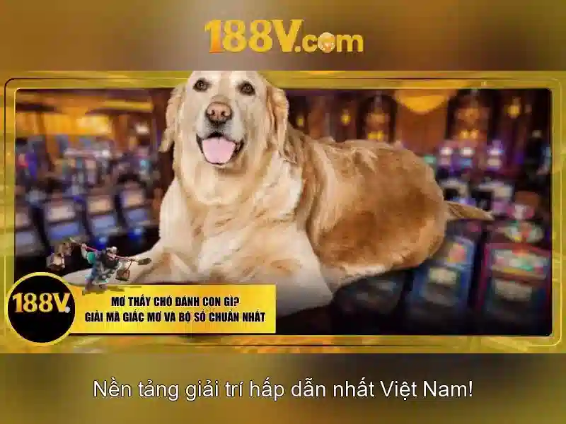 Endrick Rời Real Madrid – Câu Chuyện Phía Sau Quyết Định