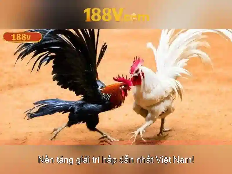 Khám phá 188V: một khái niệm và ứng dụng