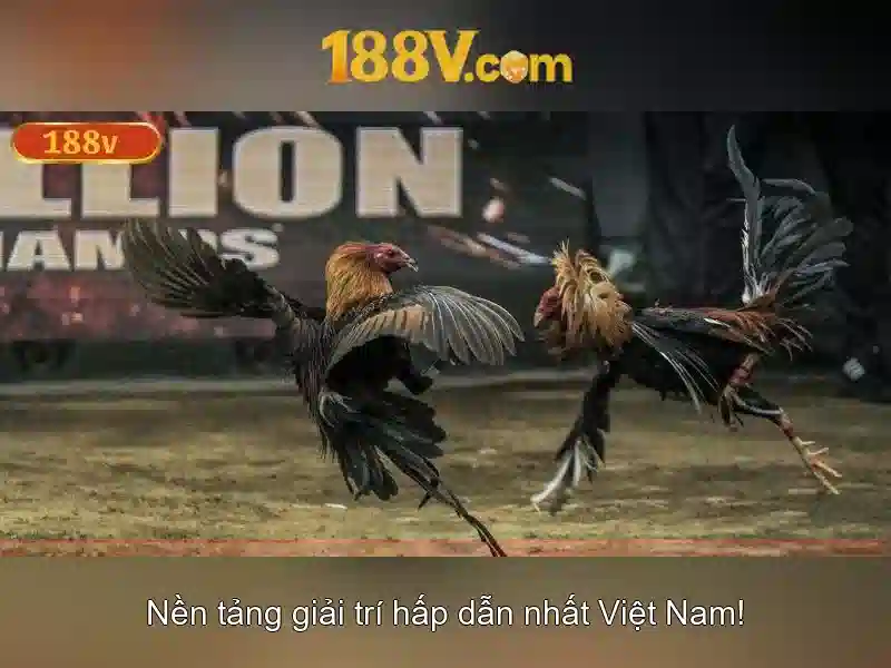 Về 188v: một hiện tượng và ý nghĩa
