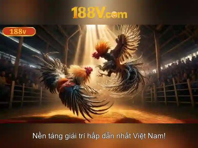Khái niệm và đo lường