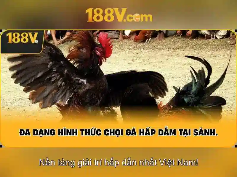 Giới thiệu về 188V