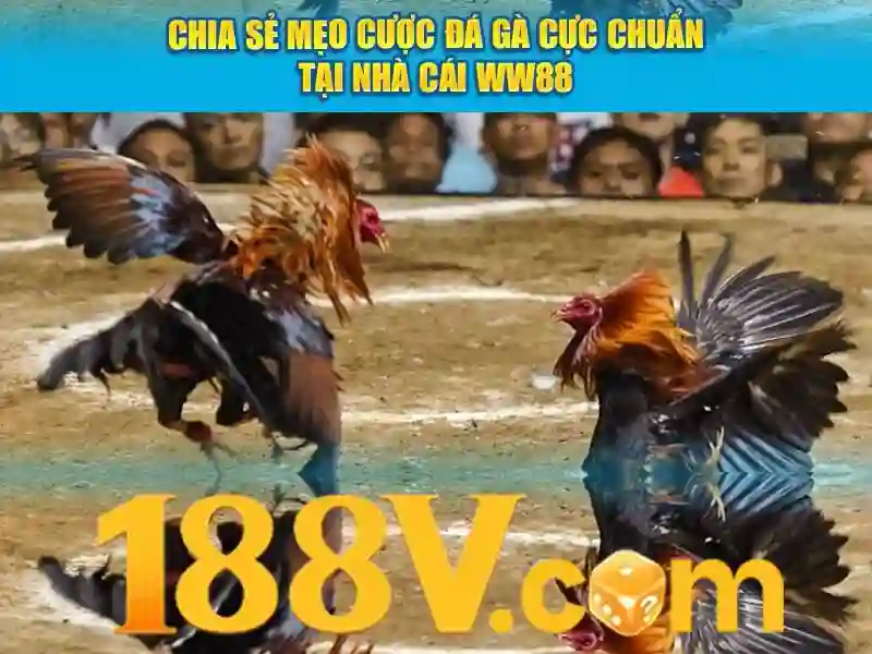 188v dang nhap: trải nghiệm tối ưu tại app và nhà cái 188v