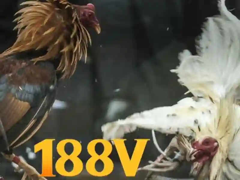 Cac dinh huong tuong lai